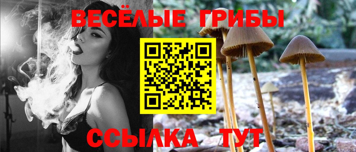 Псилоцибиновые грибы мухоморы  Галлюциногенные грибы мицелий  Комсомольск-на-Амуре  Вход с VPN 