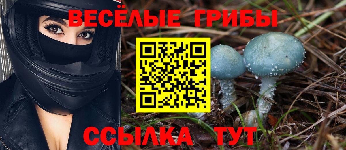 Псилоцибиновые грибы Psilocybine cubensis Комсомольск-на-Амуре
